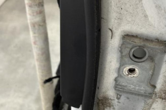 Porte arriere gauche CITROEN C5 2