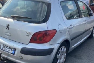 Vase de lave glace PEUGEOT 307