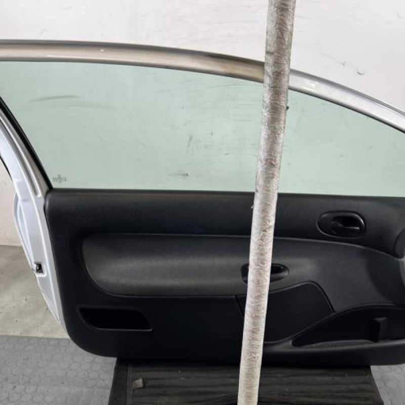 Porte avant gauche PEUGEOT 206 Photo n°6