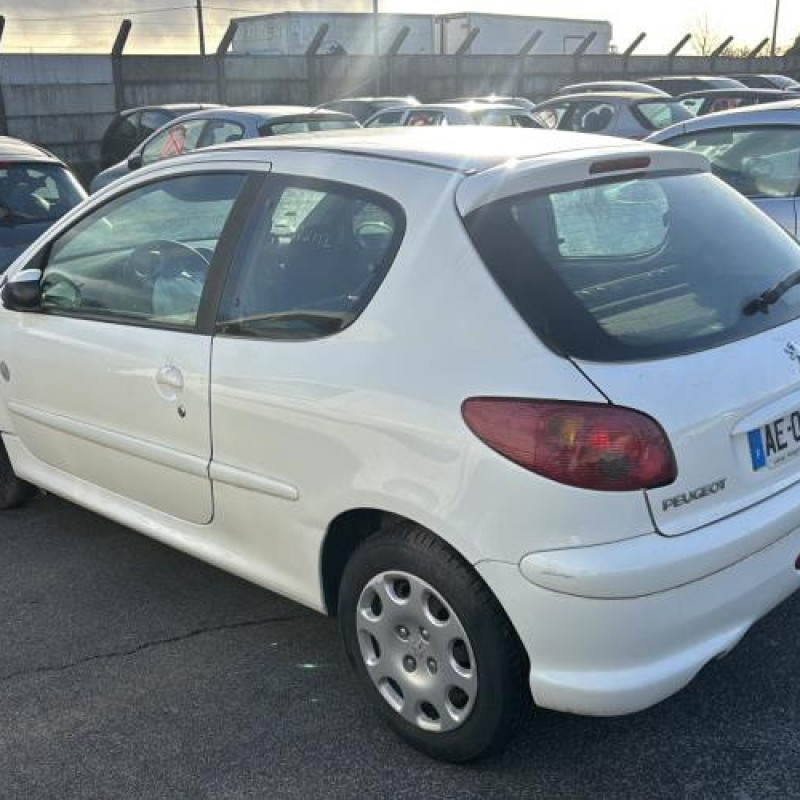 Porte avant gauche PEUGEOT 206 Photo n°8