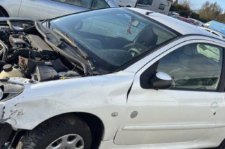 Porte avant gauche PEUGEOT 206