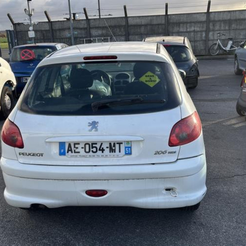 Porte avant gauche PEUGEOT 206 Photo n°13