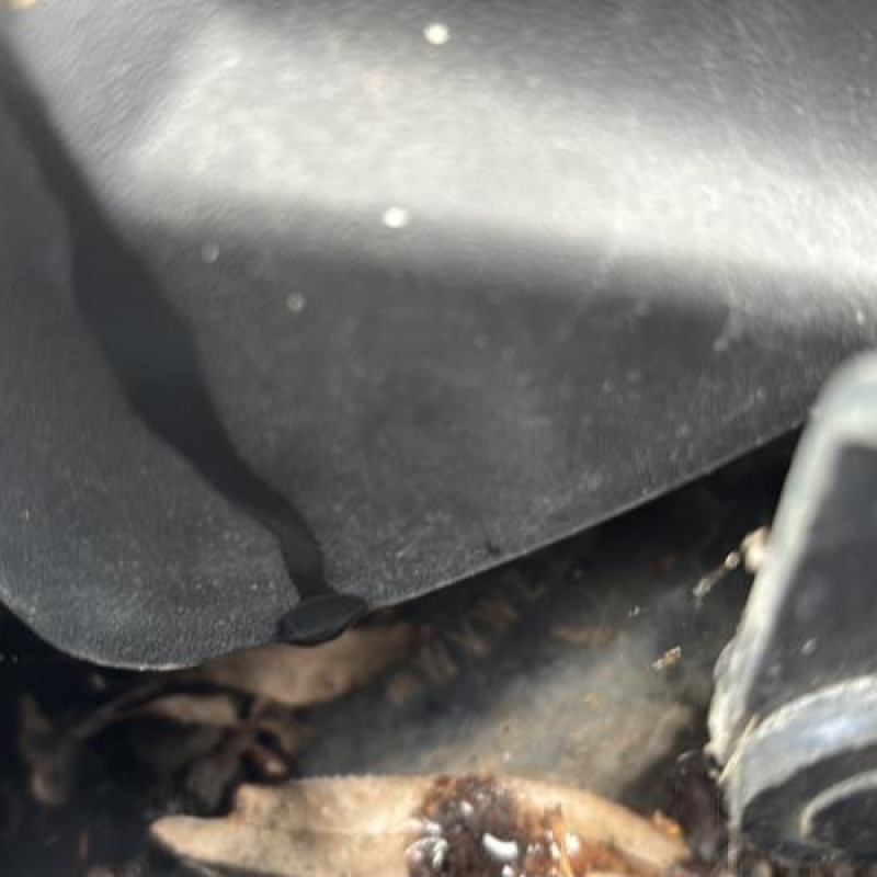 Reservoir essence VOLKSWAGEN GOLF PLUS Photo n°20