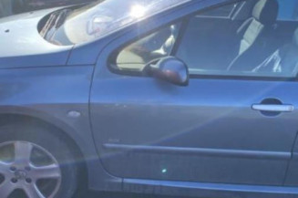Jante PEUGEOT 307
