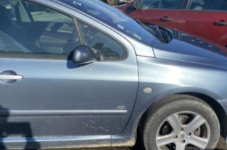 Jante PEUGEOT 307