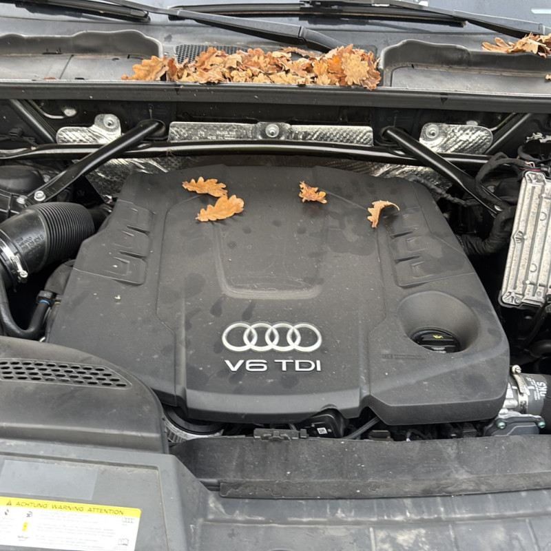 AUDI Q5 2 PHASE 1 3.0 50-TDI - 24V V6 TURBO QUATTRO 4X4 Photo n°26