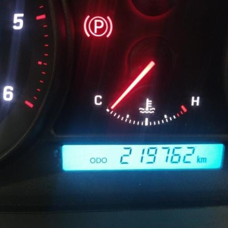 Calandre CHEVROLET CAPTIVA Photo n°11