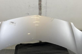 Capot RENAULT GRAND MODUS Photo n°1