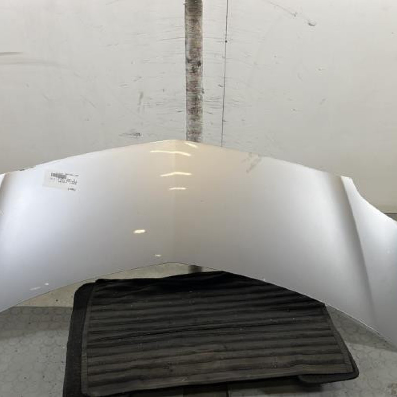 Capot RENAULT GRAND MODUS Photo n°1