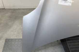 Capot RENAULT GRAND MODUS