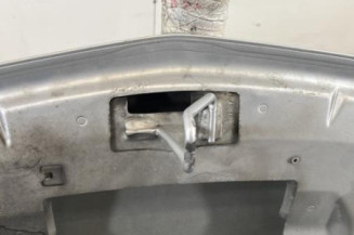 Capot RENAULT GRAND MODUS