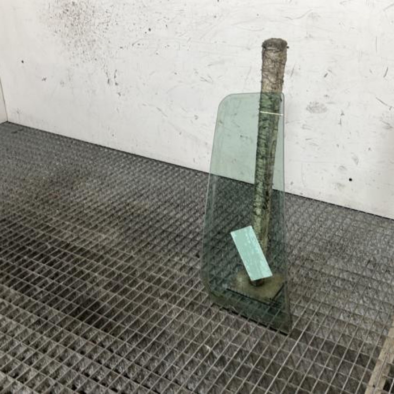 Custode arriere droit (porte) RENAULT GRAND MODUS Photo n°3