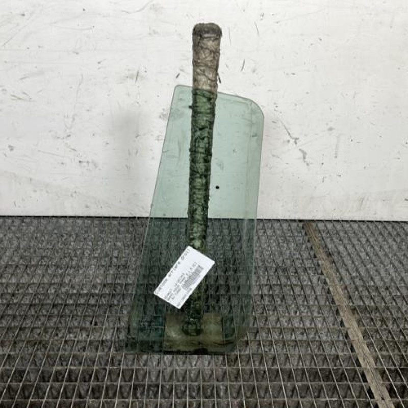 Custode arriere droit (porte) RENAULT GRAND MODUS Photo n°4