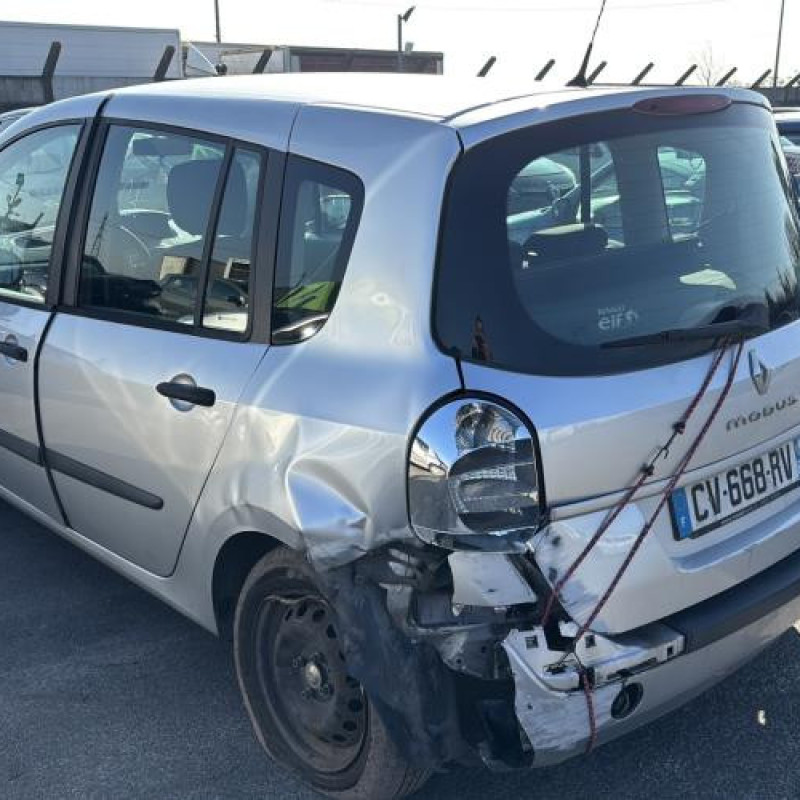 Custode arriere droit (porte) RENAULT GRAND MODUS Photo n°8