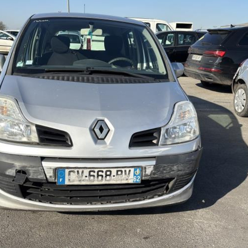 Custode arriere droit (porte) RENAULT GRAND MODUS Photo n°12