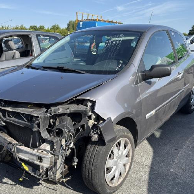 Custode arriere gauche RENAULT CLIO 3 Photo n°5