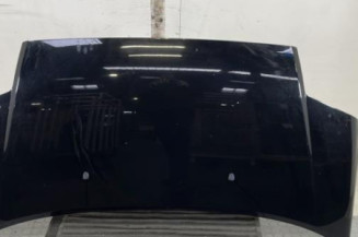 Capot CITROEN C2 Photo n°1