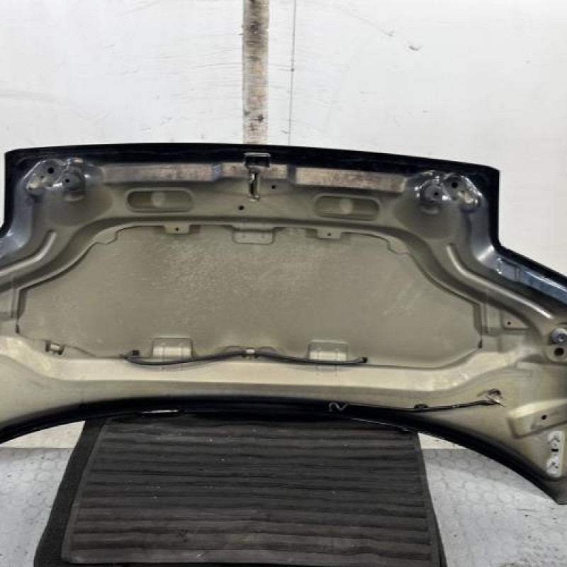 Capot CITROEN C2 Photo n°8