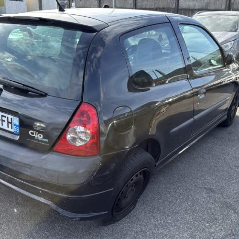 Porte avant droit RENAULT CLIO 2 Photo n°10