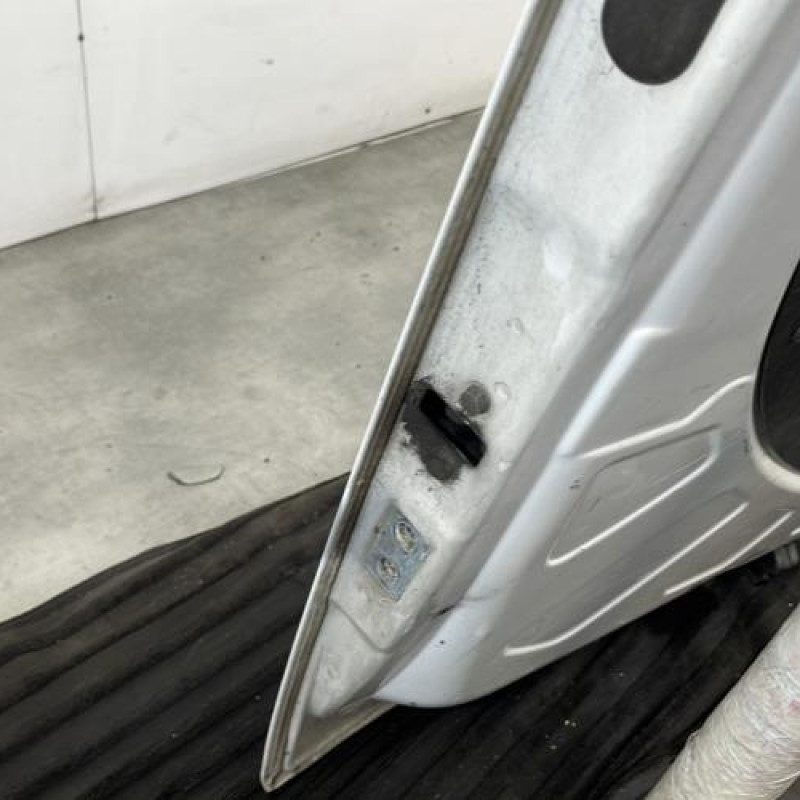 Porte de coffre droit FIAT DOBLO 2 Photo n°8