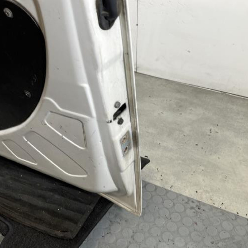 Porte de coffre gauche FIAT DOBLO 2 Photo n°9