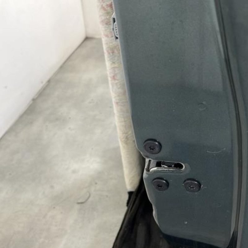 Porte avant droit DACIA SANDERO 3 STEPWAY Photo n°2