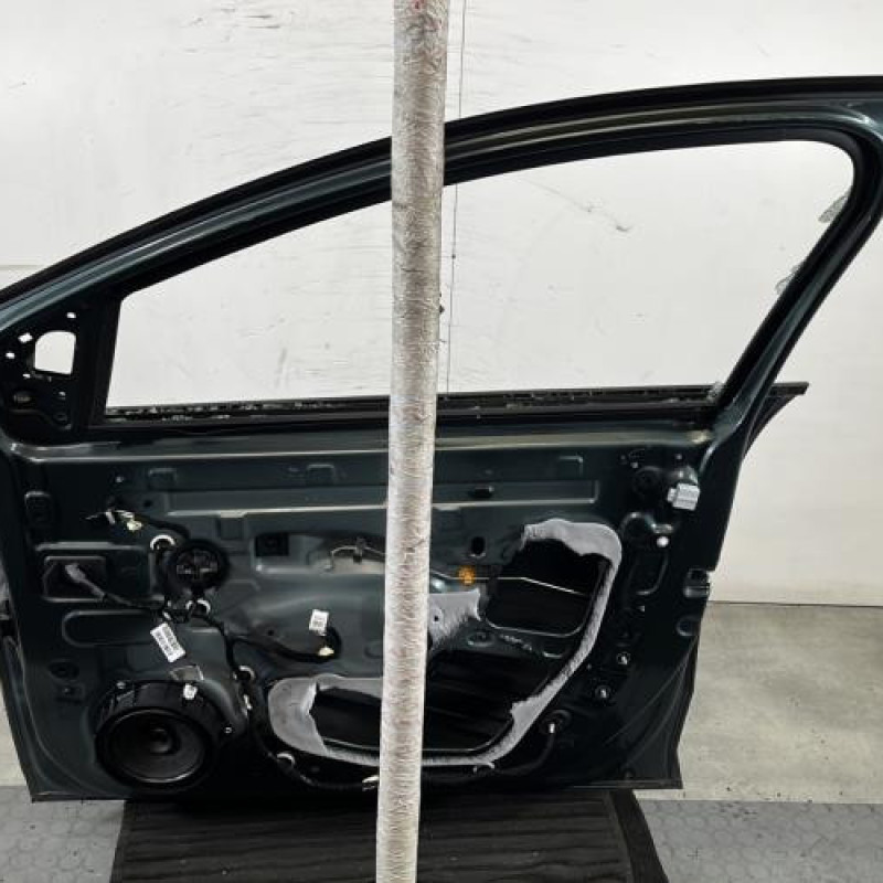 Porte avant droit DACIA SANDERO 3 STEPWAY Photo n°5