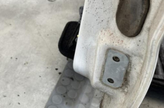 Porte avant gauche RENAULT KANGOO 1