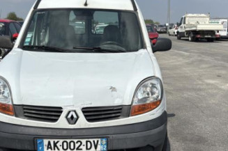 Porte avant gauche RENAULT KANGOO 1