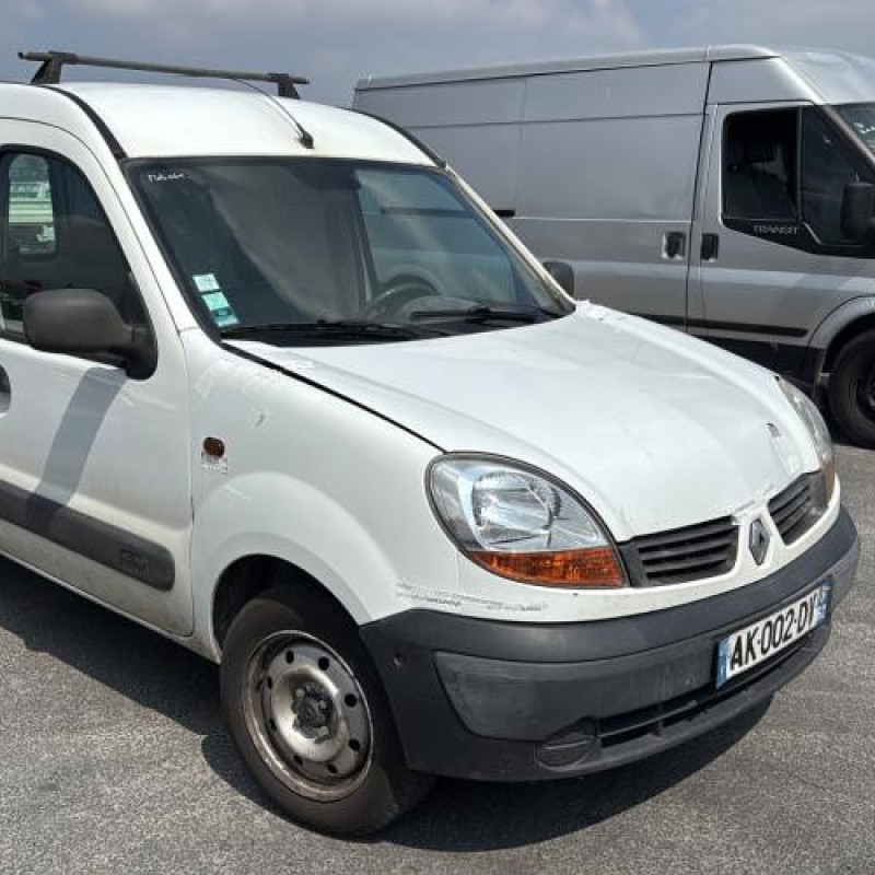 Porte de coffre gauche RENAULT KANGOO 1 Photo n°11