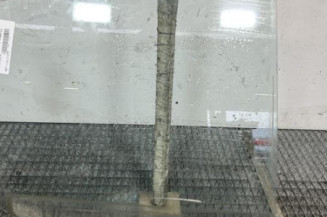 Vitre arriere droit HYUNDAI I 10 1 Photo n°1