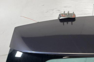 Malle/Hayon arriere CITROEN C4 GRAND PICASSO 1