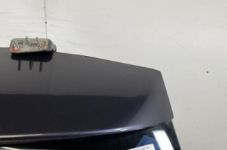 Malle/Hayon arriere CITROEN C4 GRAND PICASSO 1