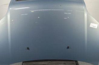 Capot FORD FUSION Photo n°1