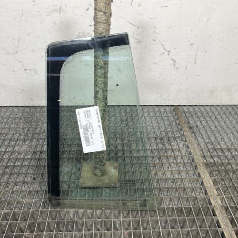 Custode arriere droit (porte) RENAULT MEGANE 2 Photo n°1