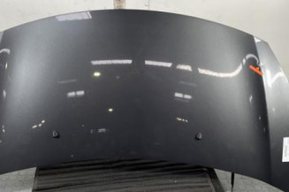 Capot CITROEN DS3 Photo n°1