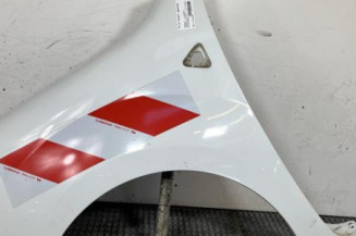 Aile avant gauche RENAULT KANGOO 2 Photo n°1