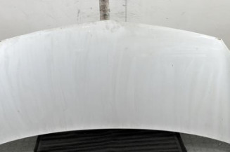 Capot RENAULT KANGOO 2 Photo n°1