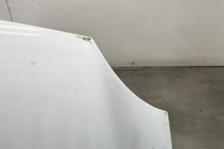 Capot RENAULT KANGOO 2