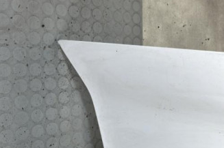 Capot RENAULT KANGOO 2