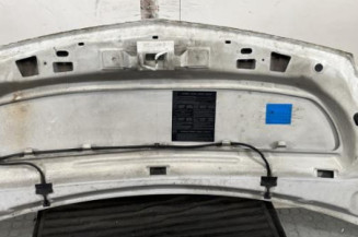 Capot RENAULT KANGOO 2