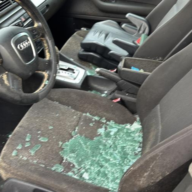 Etrier arriere gauche (freinage) AUDI A4 2 Photo n°11