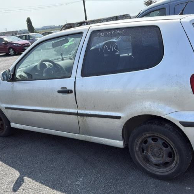 Custode arriere gauche VOLKSWAGEN POLO 3 Photo n°6