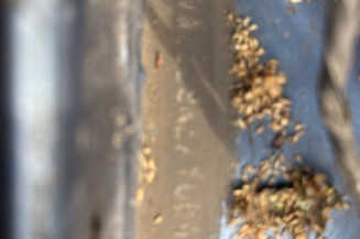 Mastervac VOLKSWAGEN POLO 4