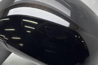 Retroviseur gauche RENAULT SCENIC 3