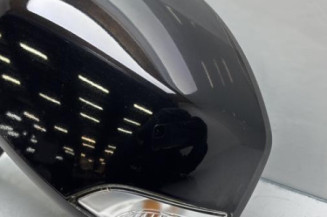 Retroviseur gauche RENAULT SCENIC 3