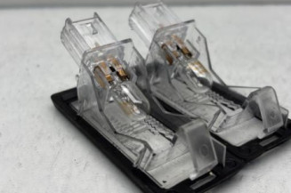 Eclairage de plaque RENAULT SCENIC 3