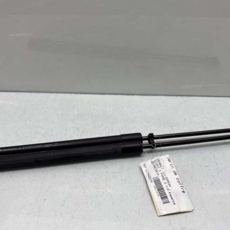 Verin de coffre RENAULT SCENIC 3 Photo n°1