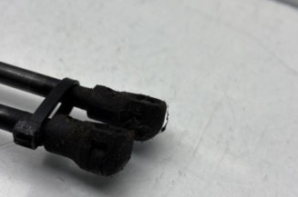 Verin de coffre RENAULT SCENIC 3