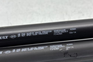 Verin de coffre RENAULT SCENIC 3